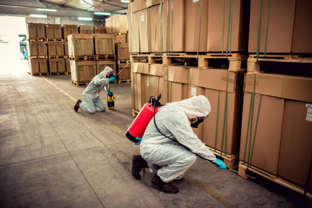 Best Cockroach Control Services  in Whiteman Af, MO