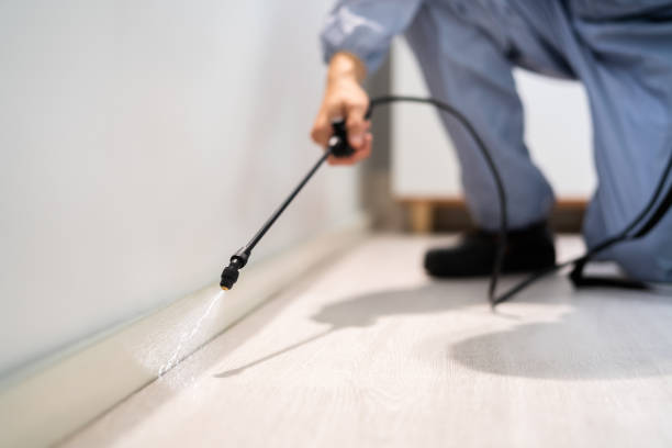 Pest Control Cost in Whiteman Af, MO