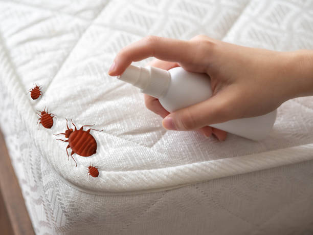 Insect Control in Whiteman Af, MO