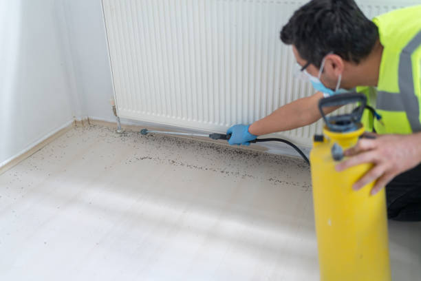 Reliable Whiteman Af, MO Pest Control Solutions