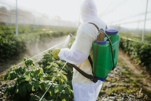 Best Best Pest Control Companies  in Whiteman Af, MO